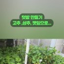 성암상회
