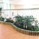 우솔초교병설 이미지