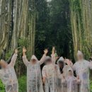 에셀목장 이미지