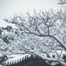 구정돼지국밥 | 구정연휴 여행 추천 | 겨울 축제부터 맛집까지 국내여행