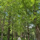 캐디스 | 캐디스 펜션 | 강원도 펜션 추천 | 내돈내산 솔직후기