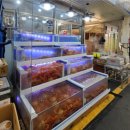 구룡포시장 이미지