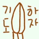 지오컴퍼니 이미지