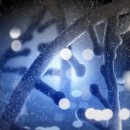 비센약품 주식회사 이미지