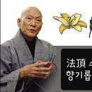 맑고 향기롭게 이미지