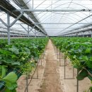 다온농수산 이미지