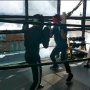 호룡 복싱클럽 이미지