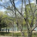 홍시약국 이미지