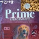 프라임 애견 이미지