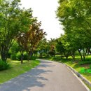 순천만국가정원(서문) 이미지