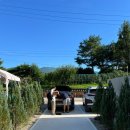 담느루 1 이미지