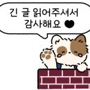 마에똥 이미지
