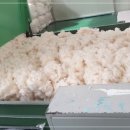 우리동네솜틀집