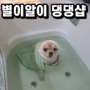 별이알이 댕댕샵 이미지