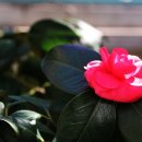 보라매동주민센터 이미지