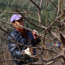 산자락영농조합법인 이미지