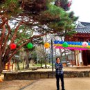 남원 실상사 승탑 | 9산선문(禪門) 최초 가람, 지리산 실상사에서 전하는 이야기. 2편 : 산사(山寺)의 봄, 그리고 아픈 역사...