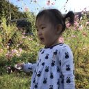 희산농장 이미지