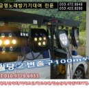 영천금영