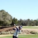 버디버디 이미지