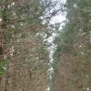 길인목장 이미지