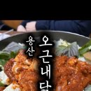 용상닭갈비 이미지