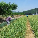 하늘나라로 올라가는 사다리를 밟고! - 봉화 천주교 우곡성지~바지산(989.4m)~성불산(1,012m) 이미지