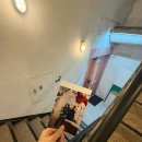 위드미 지행점 | 아 나 아직 봄 준비 못 했는데