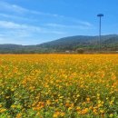 꽃단지 화장실 이미지