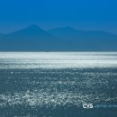 율포해수녹차센터 이미지