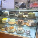 Bake 229(베이크 229)