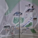 청와대만두 이미지