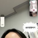 쌍용스토아 성정점 | 냐냐