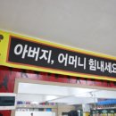 용인대 화랑 태권도 이미지