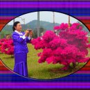 철수네집 이미지