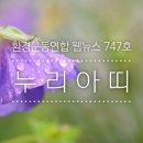미디어747