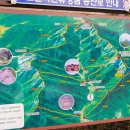 고산자연휴양림 관리사무소 이미지