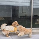 아지야 놀자 이미지