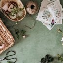 컴퓨터 기본 이미지