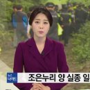 조은누리 이미지