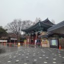 CU 거제사등덕진점 | 내돈내산 비오는 날 전주동물원 방문 후기