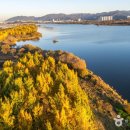 좌학리마을회관 이미지