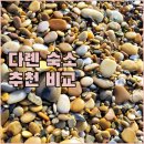 스타일 | 다롄 숙소 추천 칭니 8호 아파트, 웨이젤라 파크 호텔, 이비스 스타일 후기 비교 분석