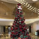 밸리뷰 | 사파 KK호텔 후기 | 밸리뷰 객실 · 조식 · 샤워실 · 다오스파까지 총정리 솔직 후기