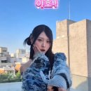 온족발보쌈 네이버블로그
