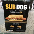 도그,위브 이미지