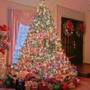 와이디엠 이미지