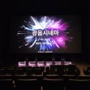 토마토시네마 | 위키드 2 : 포 굿] 보고 온 후기 / 여자들의 우정 영화 [프라이드 그린 토마토], [바그다드 카페] 추천