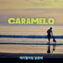 영화가 주는 치유의 힘 | 넷플릭스 반려견 영화 카라멜루 솔직후기 감동포인트