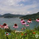 생태농원소향 이미지